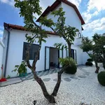 Bán nhà phố hiện đại 415m2 full nội thất, 3 phòng ngủ tại Hòa Phú, Vĩnh Công, Tây Ninh - Ảnh thu nhỏ 3