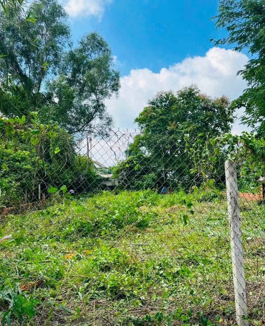 Bán nhà mặt tiền Lê Hồng Phong 448m² 11.5 tỷ Quận 12 - Ảnh thu nhỏ 3