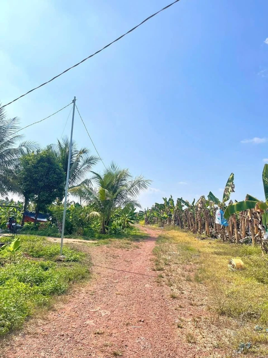 Bán 1000m² đất vườn sông Trầu, 100m² thổ cư, Đồng Nai - Ảnh thu nhỏ 4