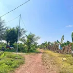 Bán 1000m² đất vườn sông Trầu, 100m² thổ cư, Đồng Nai - Ảnh thu nhỏ 4