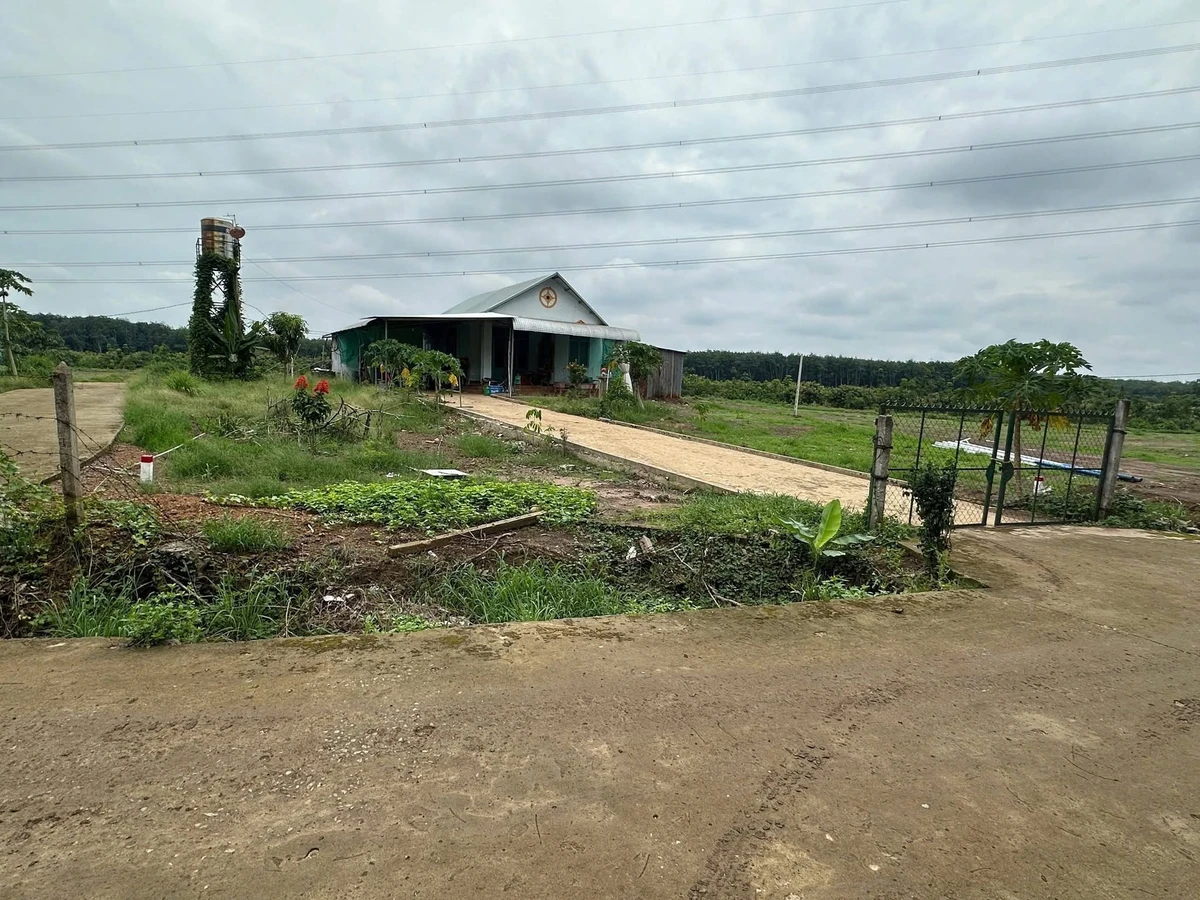 Bán đất nước ngoài 1.000m² Nha Bích, Đồng Nai - Ảnh thu nhỏ 5
