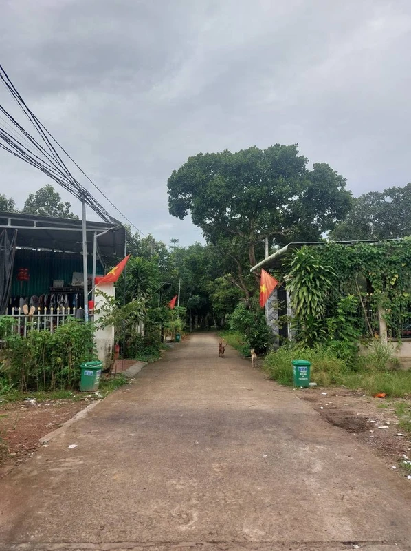 Bán đất thổ cư Tiến Thành Đồng Xoài, Bình Dương 1,2 tỷ