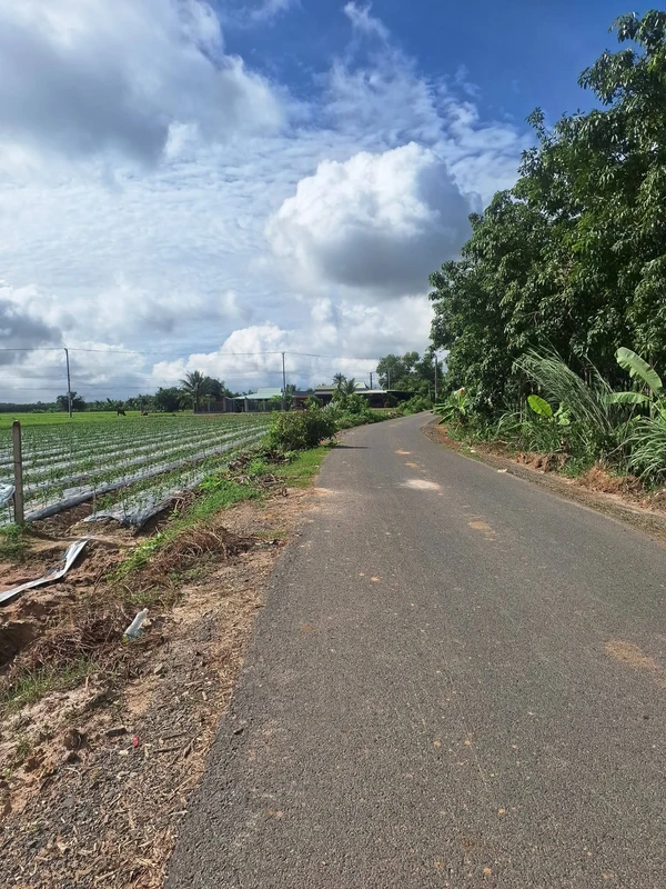 Bán lô đất 250m² đường nhựa Long Thuận, Tây Ninh - 199 triệu