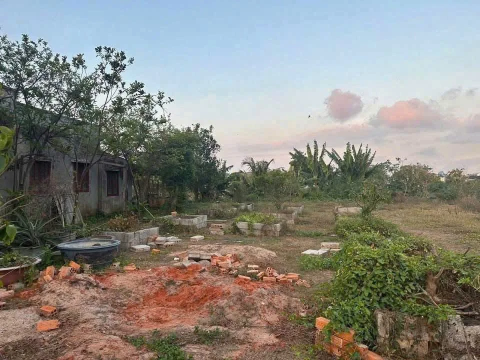 Bán đất 100m² Phan Thiết, sổ riêng 650 triệu - Ảnh thu nhỏ 2