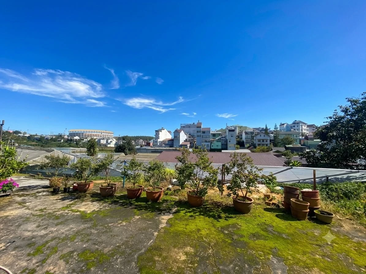 Bán đất hẻm xe hơi 249m² ngang 10m Bạch Đằng, Đà Lạt - Ảnh 1