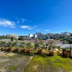 Bán đất hẻm xe hơi 249m² ngang 10m Bạch Đằng, Đà Lạt - Ảnh thu nhỏ 1
