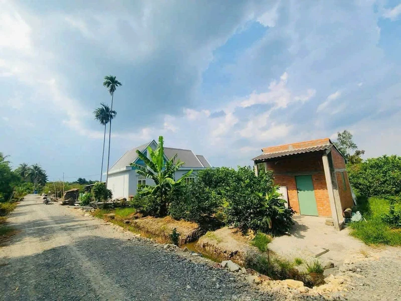 Bán đất Xã Thạnh Hòa Bến Lức Long An 920m² 1 tỷ 290