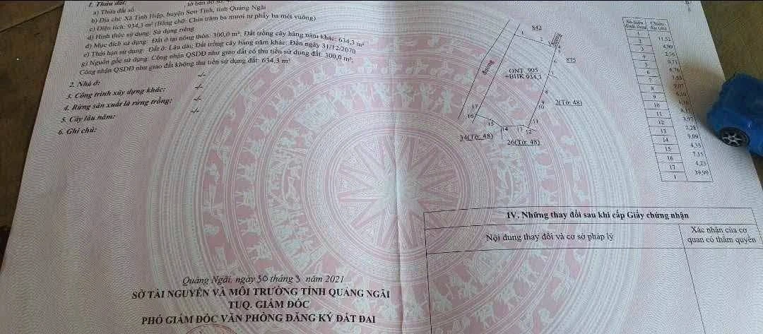 Bán đất Tịnh Bắc 1000m2 làm nhà vườn, 700 triệu - Ảnh thu nhỏ 2