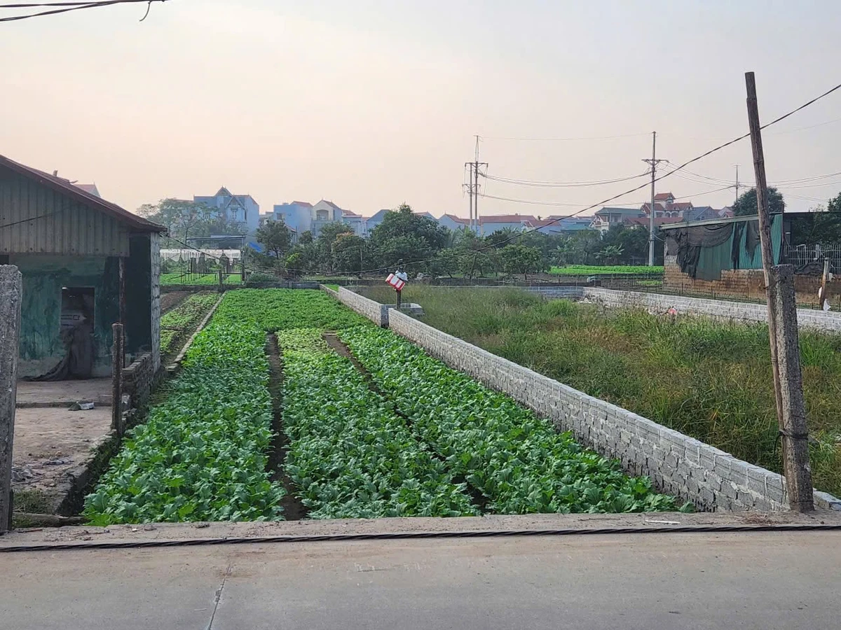 Bán đất mặt chợ 255m² Chương Dương Hà Nội 1,2 tỷ - Ảnh 1