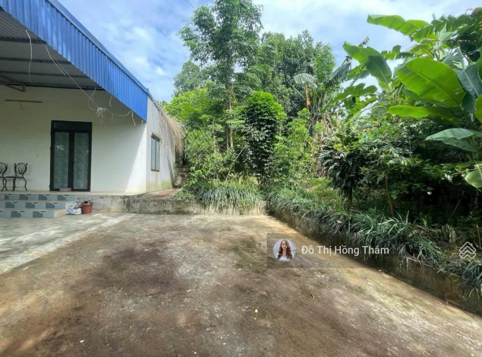 Cần bán 933m2 full thổ cư sẵn nhà cấp 4, bám đường to tại xã Cao Dương, giá rẻ chỉ 4 triệu/m2 - Ảnh thu nhỏ 4