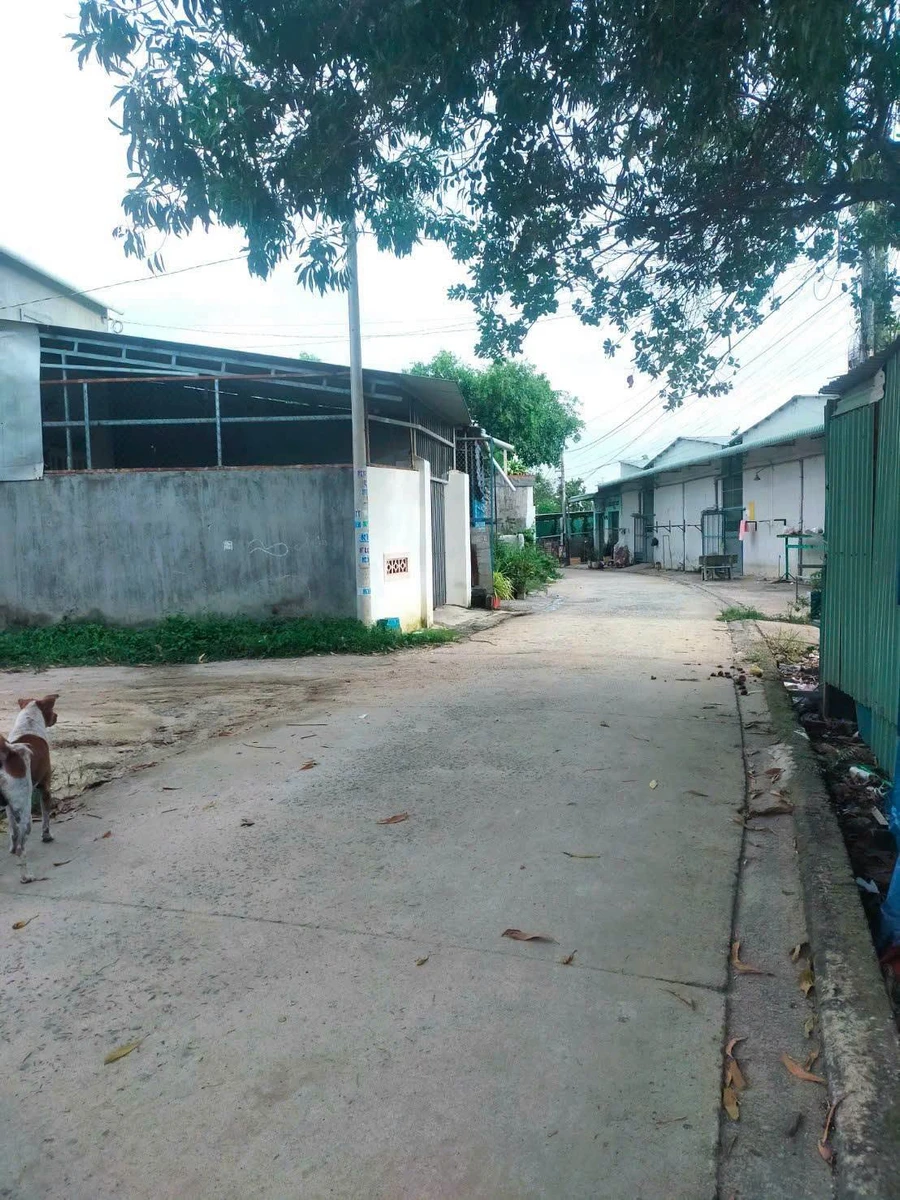 Bán đất nền 181m² Phan Đăng Lưu, Hiệp An, Bình Dương - Ảnh thu nhỏ 3