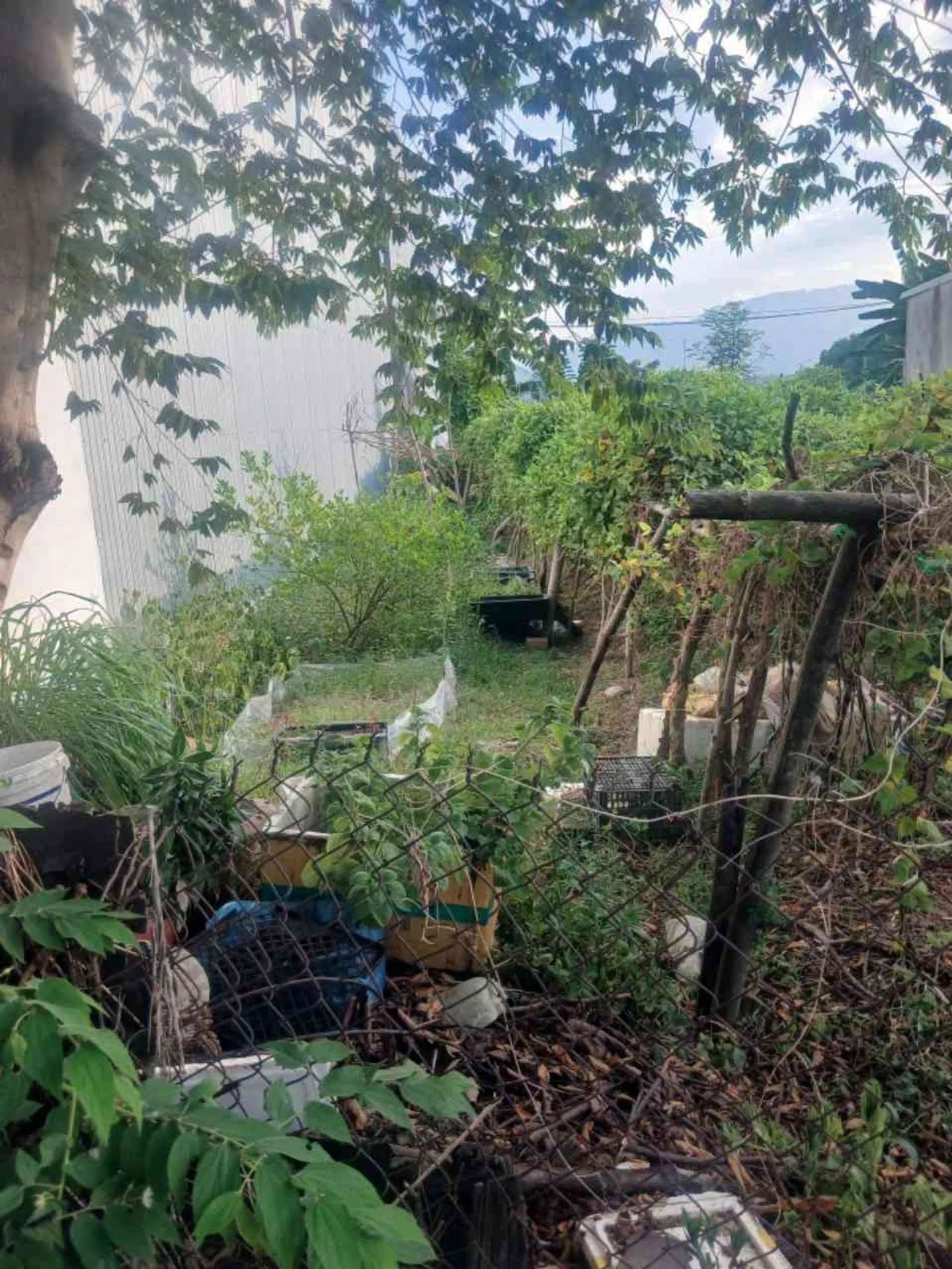 Bán đất mặt tiền Bàu Nghè 2, 100m² giá 3 tỷ, Đà Nẵng - Ảnh 1