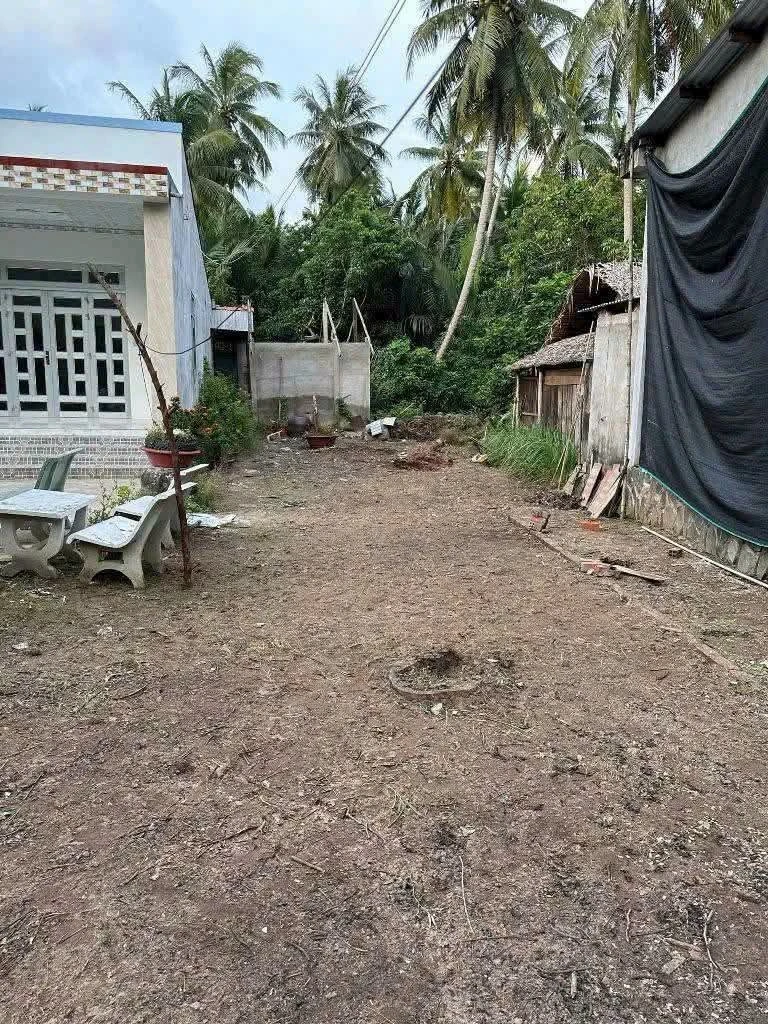 Bán nền mặt tiền Tân Thành Bình 365m² 800 triệu - Ảnh thu nhỏ 3