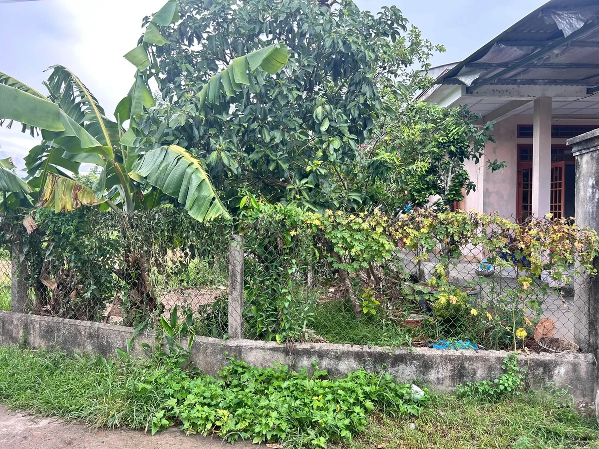 Bán lô đất hẻm Hoàng Văn Thụ 75m2 590 triệu - Ảnh thu nhỏ 3