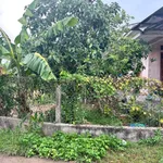 Bán lô đất hẻm Hoàng Văn Thụ 75m2 590 triệu - Ảnh thu nhỏ 3