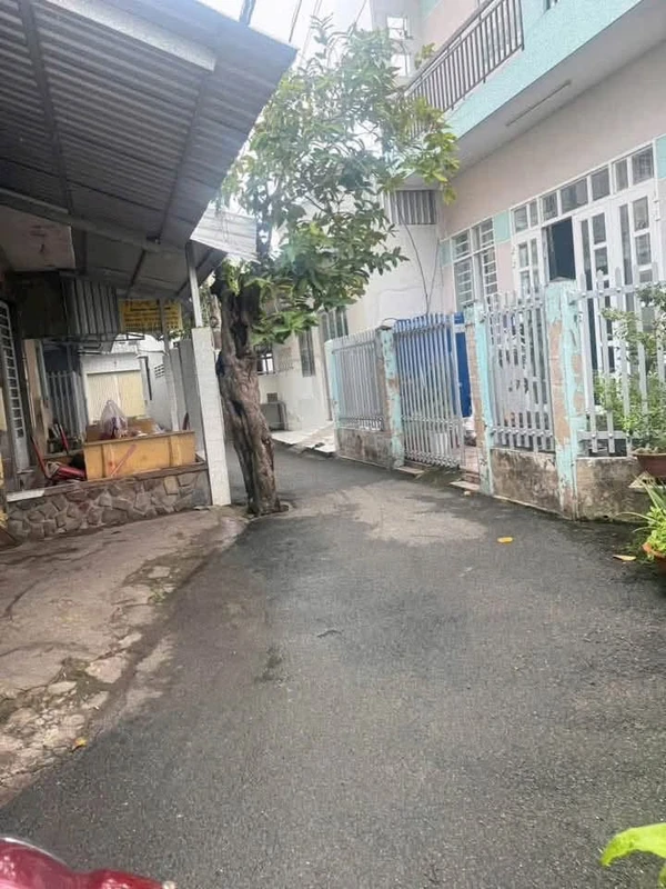 Bán nhà Phường 5 An Hội Bến Tre 119m² 1 tỷ 450 triệu