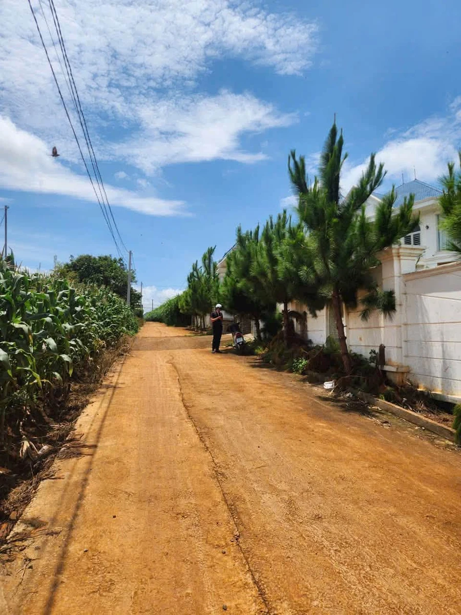Bán lô đất nhà vườn 1.732 m² Đức Trọng Lâm Đồng - Ảnh 1