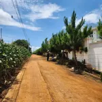 Bán lô đất nhà vườn 1.732 m² Đức Trọng Lâm Đồng - Ảnh thu nhỏ 1
