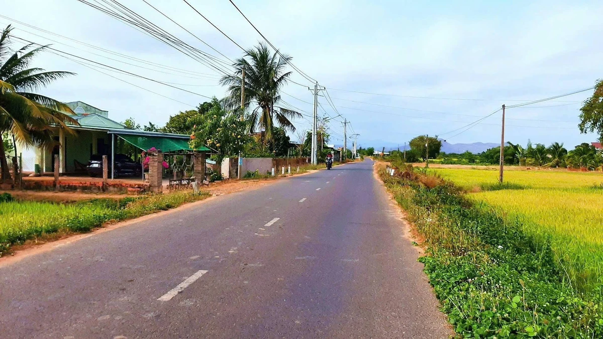 Bán đất 142m² sổ hồng thổ cư 550 triệu Thuận Minh - Ảnh thu nhỏ 2