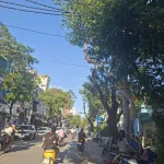 Mặt đường Cát Dài (Hai Bà Trưng, Hải Phòng) ngay cổng trường Nguyễn Văn tố. Vị trí đẹp, kinh doanh - Ảnh thu nhỏ 11