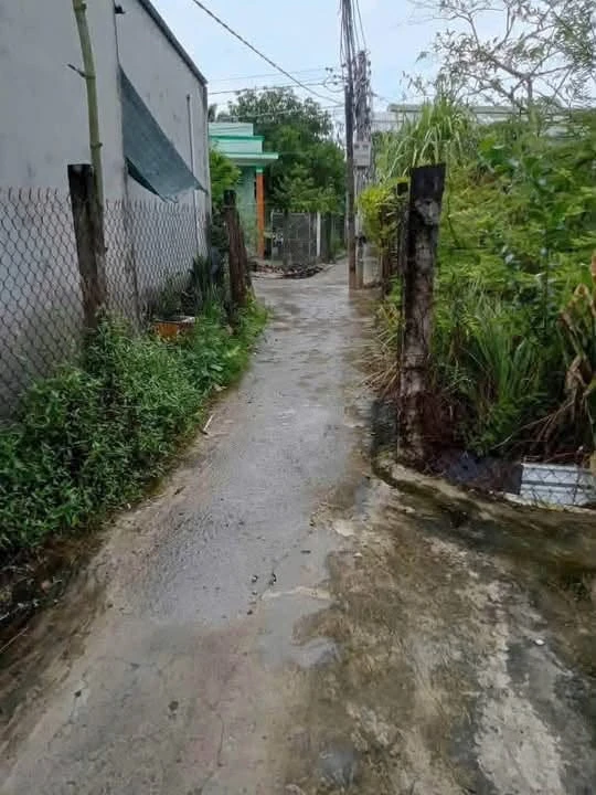 Bán lô đất thổ cư 200m² Bến Lức, Long An - Ảnh thu nhỏ 2