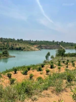 Bán đất Đăk Mar Đăk Hà Kon Tum giá tốt - Ảnh thu nhỏ 5