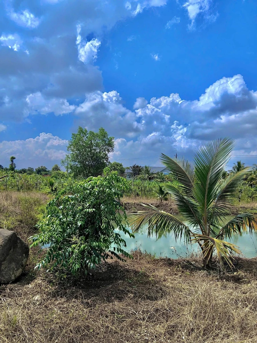 Bán đất vườn 1 sào Bảo Vinh Long Khánh - Ảnh thu nhỏ 4