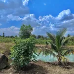 Bán đất vườn 1 sào Bảo Vinh Long Khánh - Ảnh thu nhỏ 4