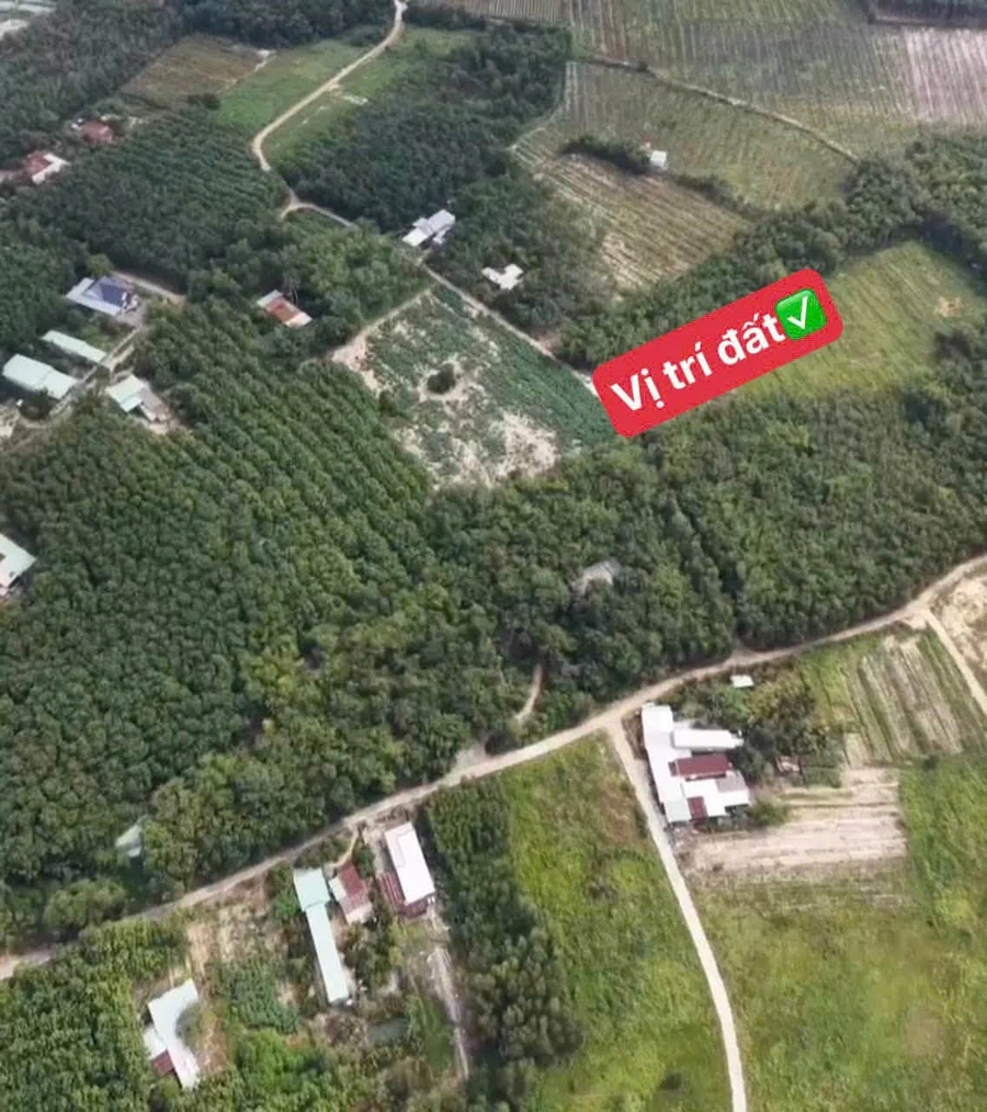 Bán đất sào view suối 4700m² Chơn Thành Bình Dương - Ảnh thu nhỏ 5