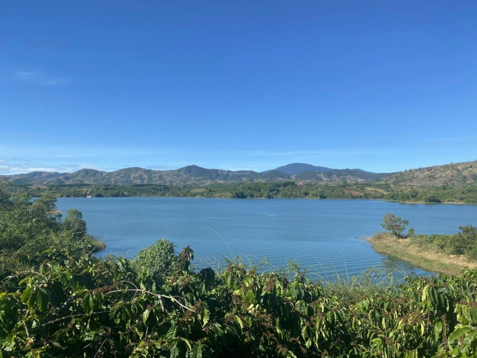 Bán đất view hồ ĐakMa Quảng Ngãi Giá tốt - Ảnh thu nhỏ 5