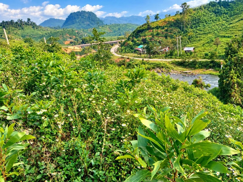 Bán lô đất view sông khoảng 4.000m2 vùng ven Măng Đen, Kon Plông