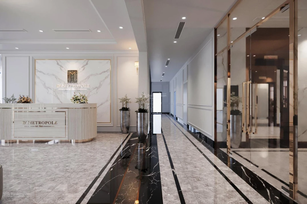 Chung cư VIP, thành phố Hà Tĩnh D'Metropole Hà Tĩnh - Ảnh thu nhỏ 3