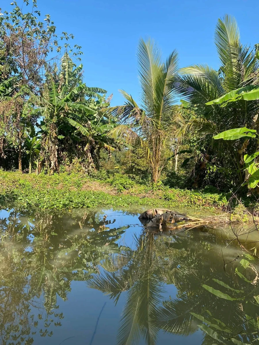 Bán 1.200m² đất Ô Việt Ê Pan, Bình Chánh - Ảnh thu nhỏ 4
