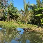 Bán 1.200m² đất Ô Việt Ê Pan, Bình Chánh - Ảnh thu nhỏ 4