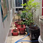 Bán nhà 2 tầng 50m2 Quận 7 có sân để xe - Ảnh thu nhỏ 4