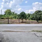 Bán lô đất thổ cư mặt tiền 180m² Châu Thị Kim, Tây Ninh - Ảnh thu nhỏ 3