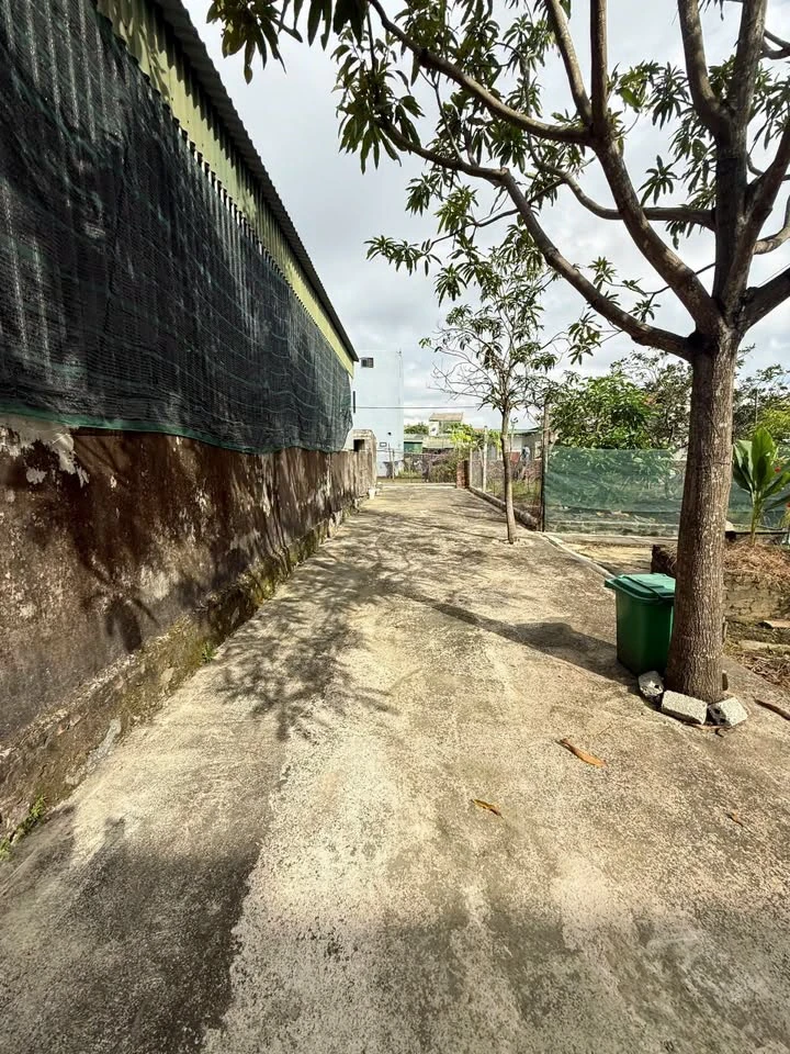Bán đất Long Hòa Hưng Đông Vinh 120 m² 2 tỷ - Ảnh thu nhỏ 2