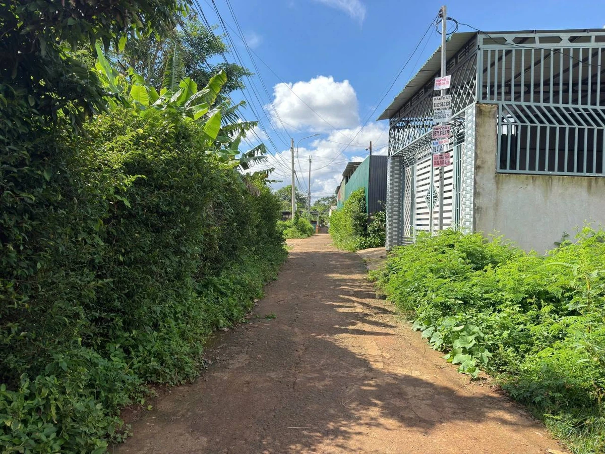 Bán đất hẻm cấp 1 Nguyễn Xuân Nguyên, 50m², Buôn Ma Thuột - Ảnh 1