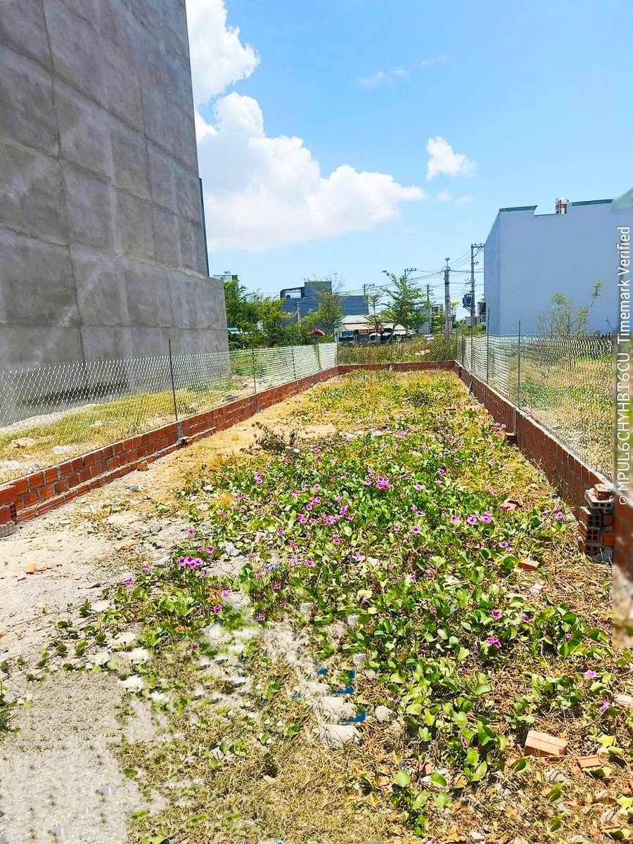 Bán đất mặt tiền view sông 129m², Quy Nhơn - Ảnh thu nhỏ 2