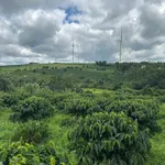 Bán 1,9 ha đất trồng cà phê Gia Lai 4,5 tỷ - Ảnh thu nhỏ 3
