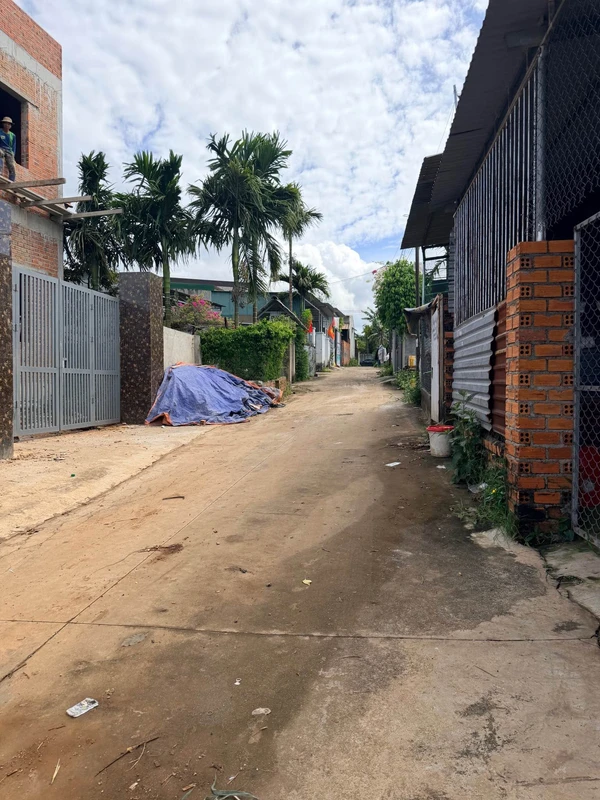 Bán đất 371m² view đồi thông ở KQH An Sơn, Đà Lạt bdsquyennguyen
