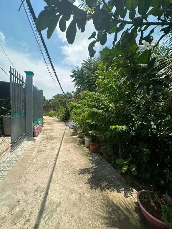 Bán nhà đất 326,8m² 3 phòng ngủ giá 1,8 tỷ tại Phú Hưng, Phú Khương, Bến Tre - Ảnh 1