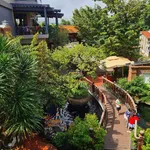 Chuyển nhượng nhà mặt phố Suối Hội Phú Pleiku: 1250m2, sẵn hạ tầng cao cấp, sổ hồng chính chủ - Ảnh thu nhỏ 6