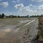Bán 1.000m² đất Thanh Phú, Bến Lức, Long An 4,8 tỷ - Ảnh thu nhỏ 1