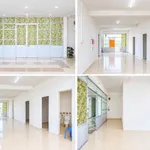 Bán căn hộ Hưng Phú 2 phòng ngủ 53,8m2 - 1 tỷ đồng - Ảnh thu nhỏ 2