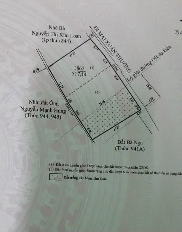 Bán lô đất 517m² mặt tiền 28,75m Đà Lạt 19 tỷ - Ảnh thu nhỏ 4
