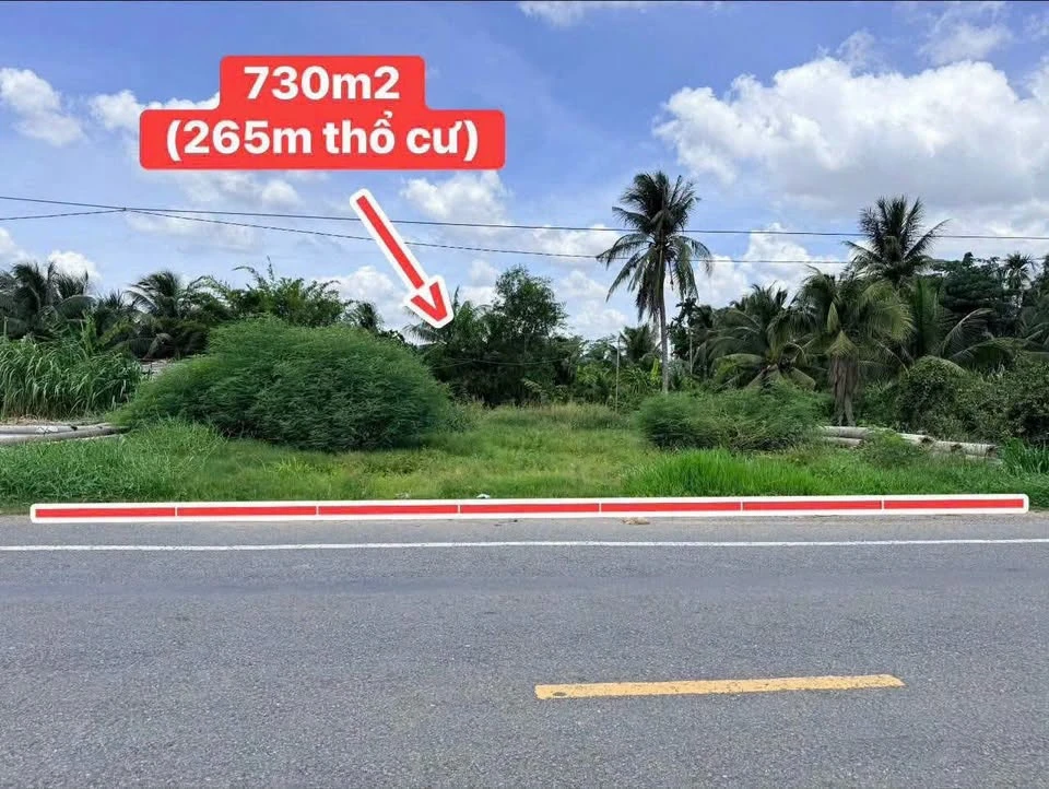 Bán đất mặt tiền HL173 730m² Phú Tân, Nhà Bè - 3.3 tỷ - Ảnh thu nhỏ 2