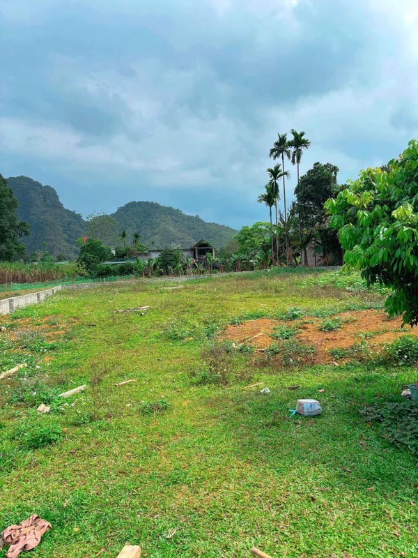 Bán đất vườn 1.002m² Kim Bôi Hòa Bình 1,25 tỷ