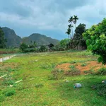 Bán đất vườn 1.002m² Kim Bôi Hòa Bình 1,25 tỷ - Ảnh thu nhỏ 1