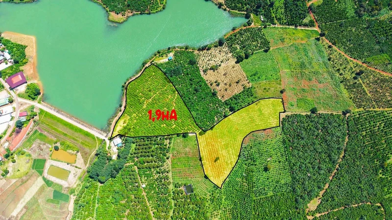 Bán đất nông nghiệp 2 hectare tại Bắc Gia Nghĩa, Lâm Đồng